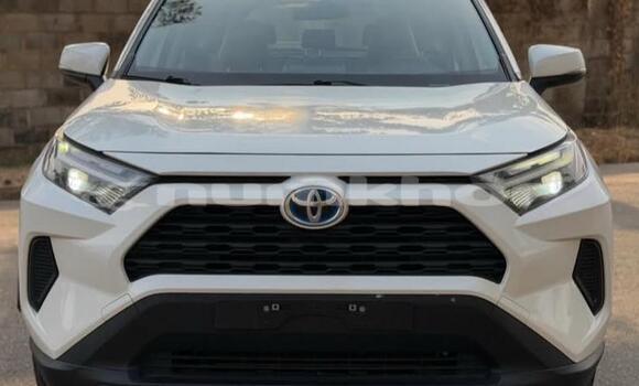 Buy Used Toyota RAV4 White Car in Thimphu in Timphu
