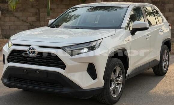 Buy Used Toyota RAV4 White Car in Thimphu in Timphu Buy Used Toyota RAV4 White Car in Thimphu in Timphu