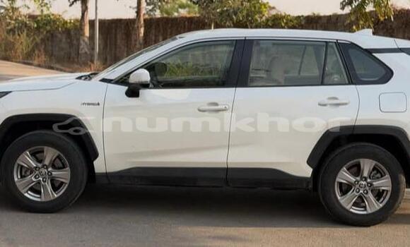 Buy Used Toyota RAV4 White Car in Thimphu in Timphu Buy Used Toyota RAV4 White Car in Thimphu in Timphu