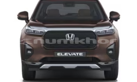 Buy Used Honda Element Brown Car in Paro in Rinpung