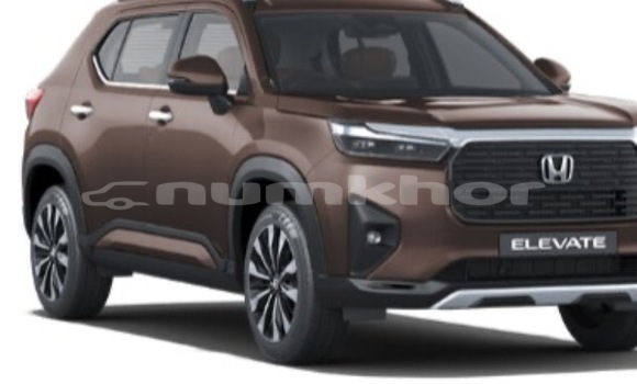 Buy Used Honda Element Brown Car in Paro in Rinpung Buy Used Honda Element Brown Car in Paro in Rinpung