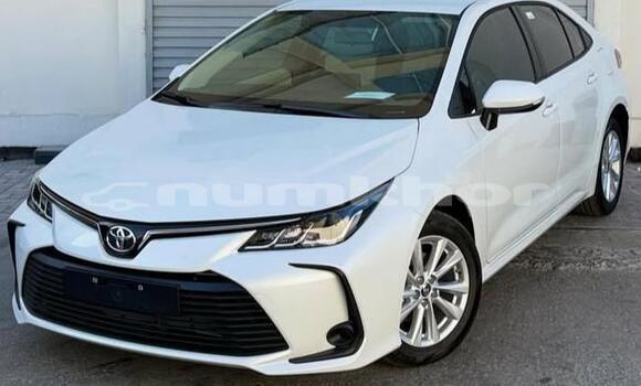 Buy Used Toyota Corolla White Car in Thimphu in Timphu