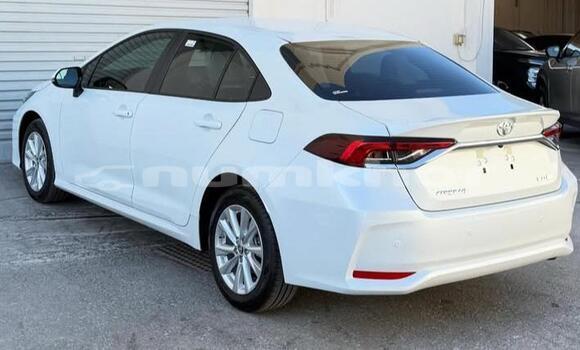 Buy Used Toyota Corolla White Car in Thimphu in Timphu Buy Used Toyota Corolla White Car in Thimphu in Timphu