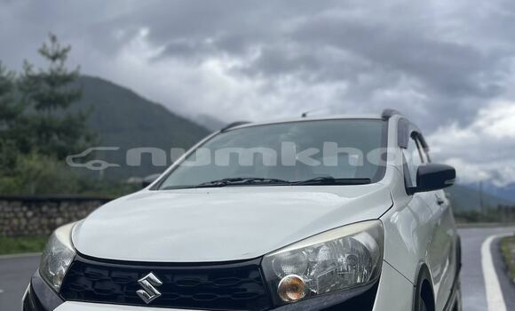 Buy Used Suzuki Celerio White Car in Thimphu in Timphu