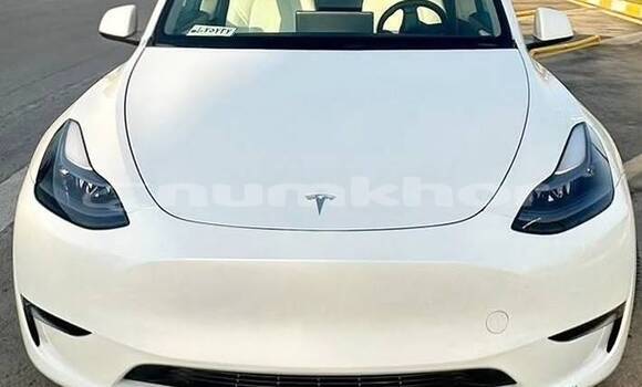 Buy Used Tesla Model X White Car in Thimphu in Timphu
