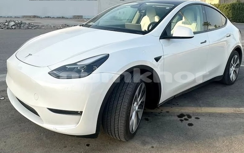 Big with watermark tesla model x timphu thimphu 5042