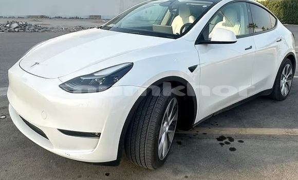 Buy Used Tesla Model X White Car in Thimphu in Timphu Buy Used Tesla Model X White Car in Thimphu in Timphu