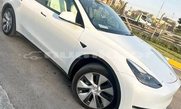 Buy Used Tesla Model X White Car in Thimphu in Timphu Buy Used Tesla Model X White Car in Thimphu in Timphu