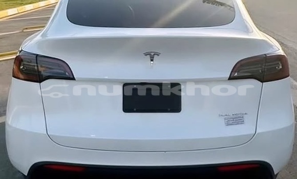 Buy Used Tesla Model X White Car in Thimphu in Timphu Buy Used Tesla Model X White Car in Thimphu in Timphu