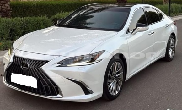 Buy Used Lexus ES White Car in Thimphu in Timphu