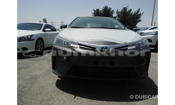 Buy Import Toyota Corolla Other Car in Import - Dubai in Bumthang Buy Import Toyota Corolla Other Car in Import - Dubai in Bumthang