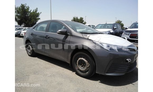 Buy Import Toyota Corolla Other Car in Import - Dubai in Bumthang Buy Import Toyota Corolla Other Car in Import - Dubai in Bumthang
