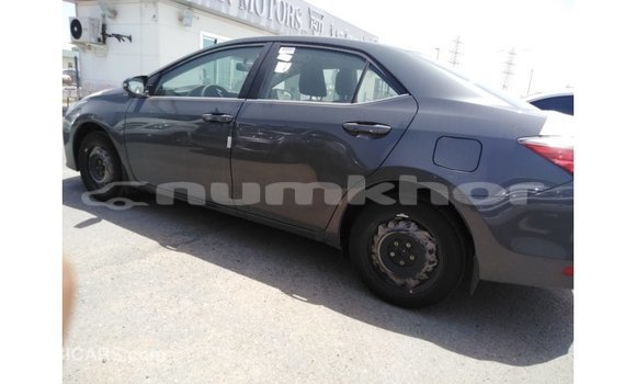 Buy Import Toyota Corolla Other Car in Import - Dubai in Bumthang Buy Import Toyota Corolla Other Car in Import - Dubai in Bumthang