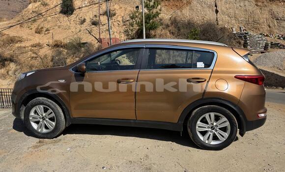 Buy Used Kia Sportage Brown Car in Thimphu in Timphu Buy Used Kia Sportage Brown Car in Thimphu in Timphu