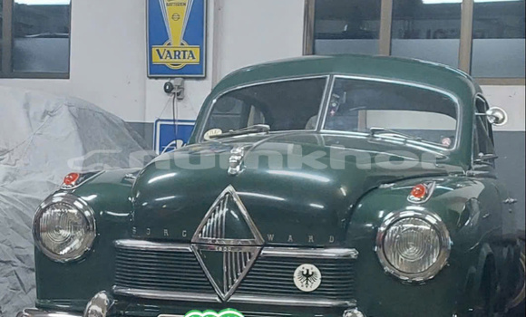 Buy Borgward Hansa Bumper in Geylegphug in Geylegphug Buy Borgward Hansa Bumper in Geylegphug in Geylegphug
