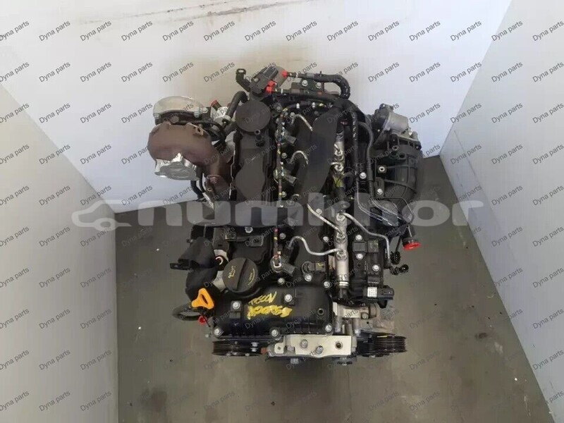 Big with watermark 4