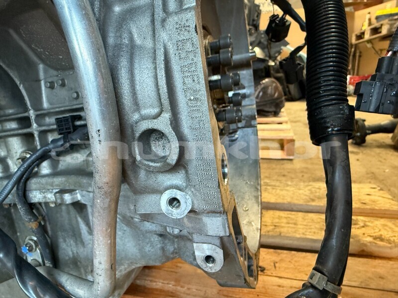 Big with watermark 6