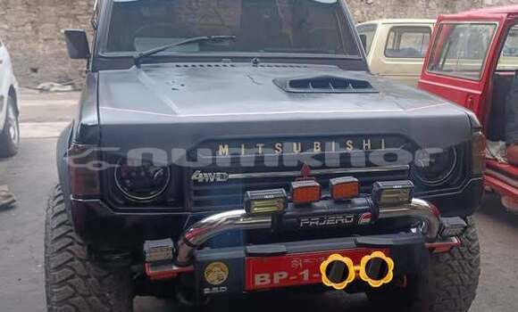 Buy Used Mitsubishi Pajero Other Car in Ha in Ha