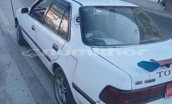Buy Used Toyota Alphard Other Car in Gasa in Punakha
