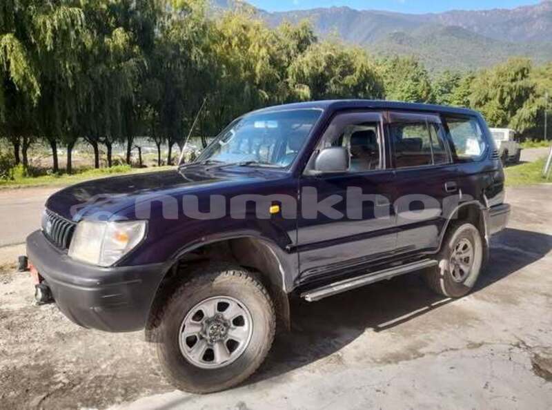 Big with watermark toyota prado punakha gasa 5137