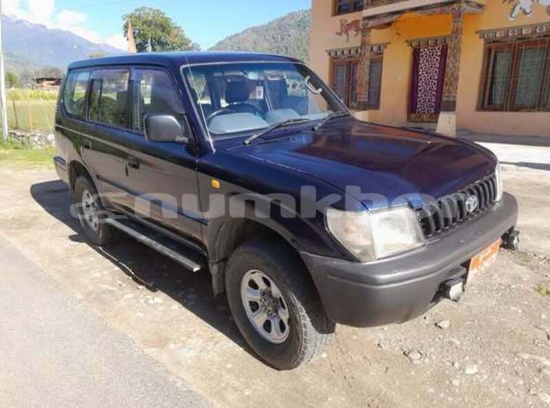 Big with watermark toyota prado punakha gasa 5137
