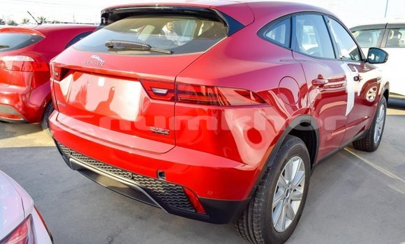 Buy Import Jaguar E-Pace Red Car in Import - Dubai in Bumthang Buy Import Jaguar E-Pace Red Car in Import - Dubai in Bumthang