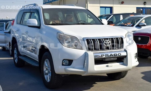 Buy Import Toyota Prado White Car in Import - Dubai in Bumthang Buy Import Toyota Prado White Car in Import - Dubai in Bumthang