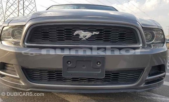 Buy Import Ford Mustang Other Car in Import - Dubai in Bumthang Buy Import Ford Mustang Other Car in Import - Dubai in Bumthang