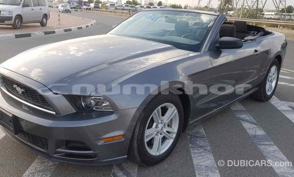 Buy Import Ford Mustang Other Car in Import - Dubai in Bumthang Buy Import Ford Mustang Other Car in Import - Dubai in Bumthang