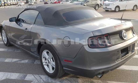 Buy Import Ford Mustang Other Car in Import - Dubai in Bumthang Buy Import Ford Mustang Other Car in Import - Dubai in Bumthang