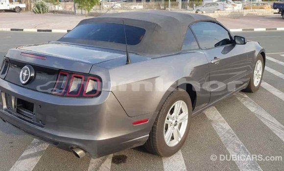 Buy Import Ford Mustang Other Car in Import - Dubai in Bumthang Buy Import Ford Mustang Other Car in Import - Dubai in Bumthang