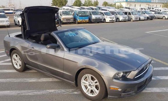Buy Import Ford Mustang Other Car in Import - Dubai in Bumthang Buy Import Ford Mustang Other Car in Import - Dubai in Bumthang