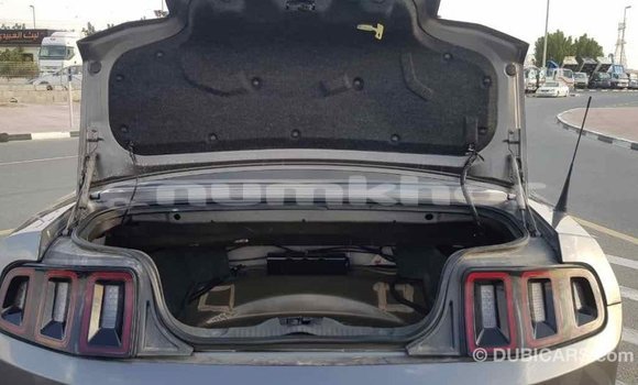 Buy Import Ford Mustang Other Car in Import - Dubai in Bumthang Buy Import Ford Mustang Other Car in Import - Dubai in Bumthang