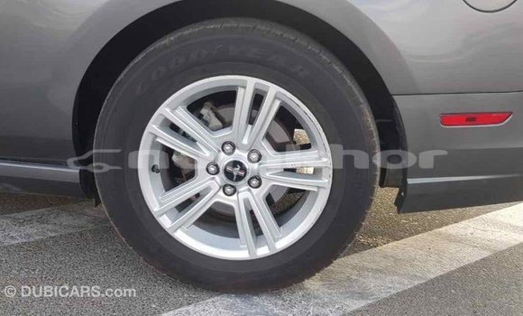 Buy Import Ford Mustang Other Car in Import - Dubai in Bumthang Buy Import Ford Mustang Other Car in Import - Dubai in Bumthang