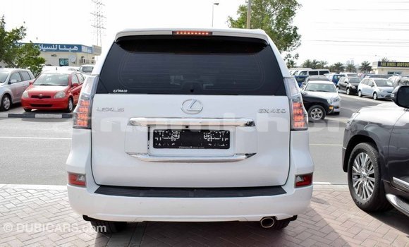 Buy Import Lexus GX White Car in Import - Dubai in Bumthang Buy Import Lexus GX White Car in Import - Dubai in Bumthang