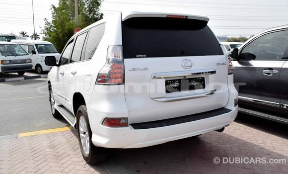 Buy Import Lexus GX White Car in Import - Dubai in Bumthang Buy Import Lexus GX White Car in Import - Dubai in Bumthang