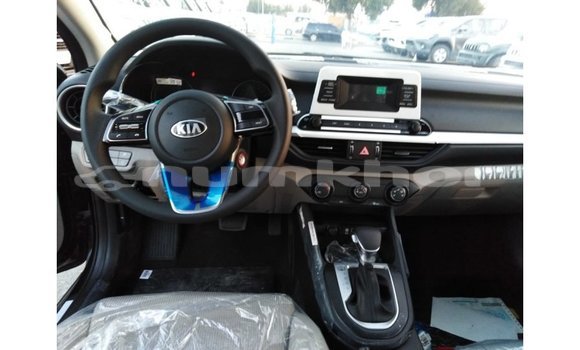 Buy Import Kia Cerato Black Car in Import - Dubai in Bumthang Buy Import Kia Cerato Black Car in Import - Dubai in Bumthang