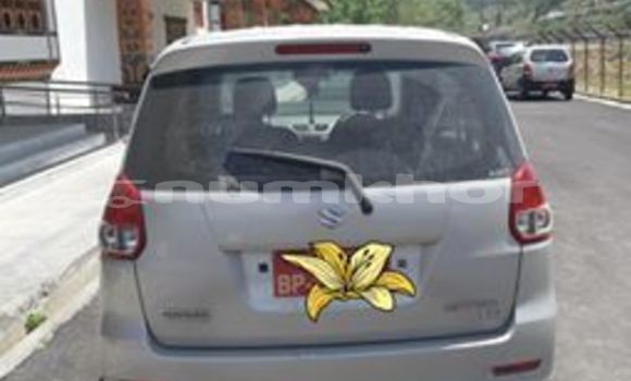 Buy Used Suzuki Alto Silver Car in Paro in Rinpung Buy Used Suzuki Alto Silver Car in Paro in Rinpung