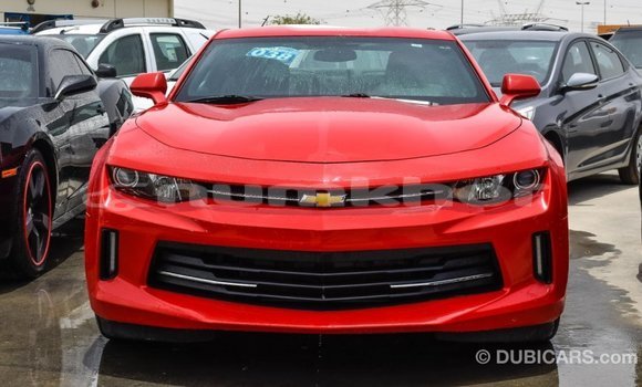 Buy Import Chevrolet Camaro Red Car in Import - Dubai in Bumthang Buy Import Chevrolet Camaro Red Car in Import - Dubai in Bumthang
