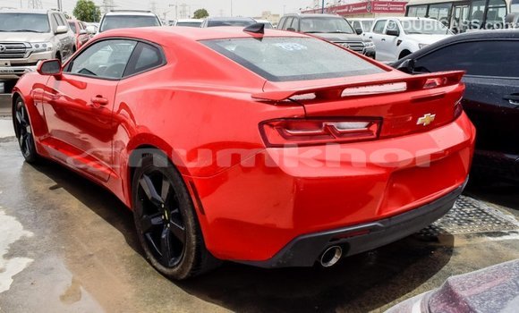 Buy Import Chevrolet Camaro Red Car in Import - Dubai in Bumthang Buy Import Chevrolet Camaro Red Car in Import - Dubai in Bumthang