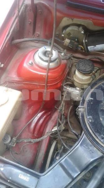 Big with watermark 51783560 389511941852299 6291680523710365696 n