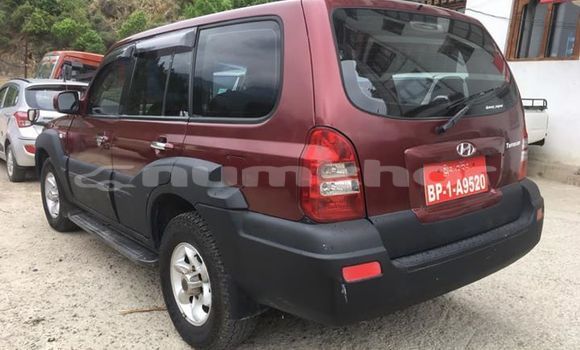 Buy Used Hyundai Terracan Red Car in Thimphu in Timphu Buy Used Hyundai Terracan Red Car in Thimphu in Timphu