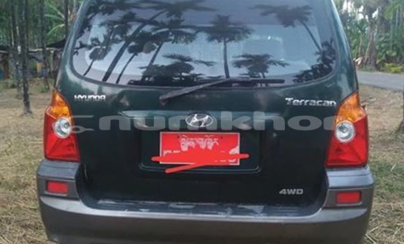 Buy Used Hyundai Terracan Green Car in Geylegphug in Geylegphug Buy Used Hyundai Terracan Green Car in Geylegphug in Geylegphug