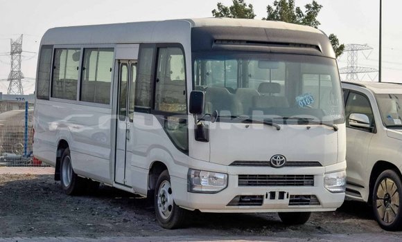 Buy Import Toyota Coaster White Car in Import - Dubai in Bumthang Buy Import Toyota Coaster White Car in Import - Dubai in Bumthang