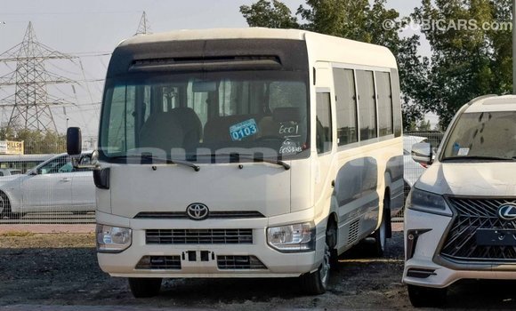 Buy Import Toyota Coaster White Car in Import - Dubai in Bumthang Buy Import Toyota Coaster White Car in Import - Dubai in Bumthang