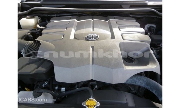 Buy Import Toyota Land Cruiser Black Car in Import - Dubai in Bumthang Buy Import Toyota Land Cruiser Black Car in Import - Dubai in Bumthang