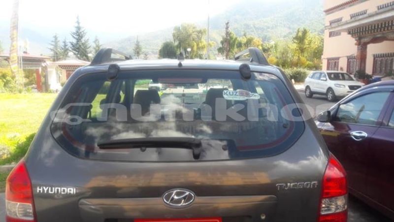 Big with watermark 47792669 1102734196573648 3672354440041463808 n