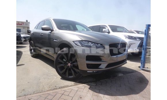Buy Import Jaguar F-Pace Other Car in Import - Dubai in Bumthang
