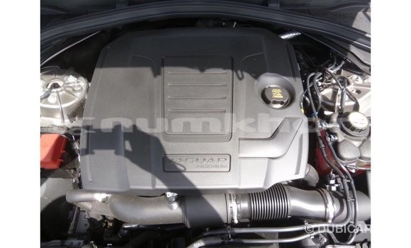 Buy Import Jaguar F-Pace Other Car in Import - Dubai in Bumthang Buy Import Jaguar F-Pace Other Car in Import - Dubai in Bumthang