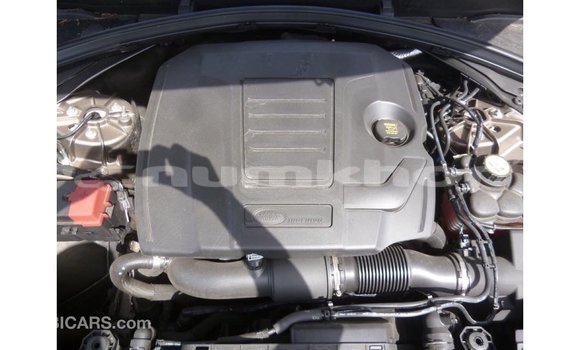 Buy Import Land Rover Range Rover Brown Car in Import - Dubai in Bumthang Buy Import Land Rover Range Rover Brown Car in Import - Dubai in Bumthang